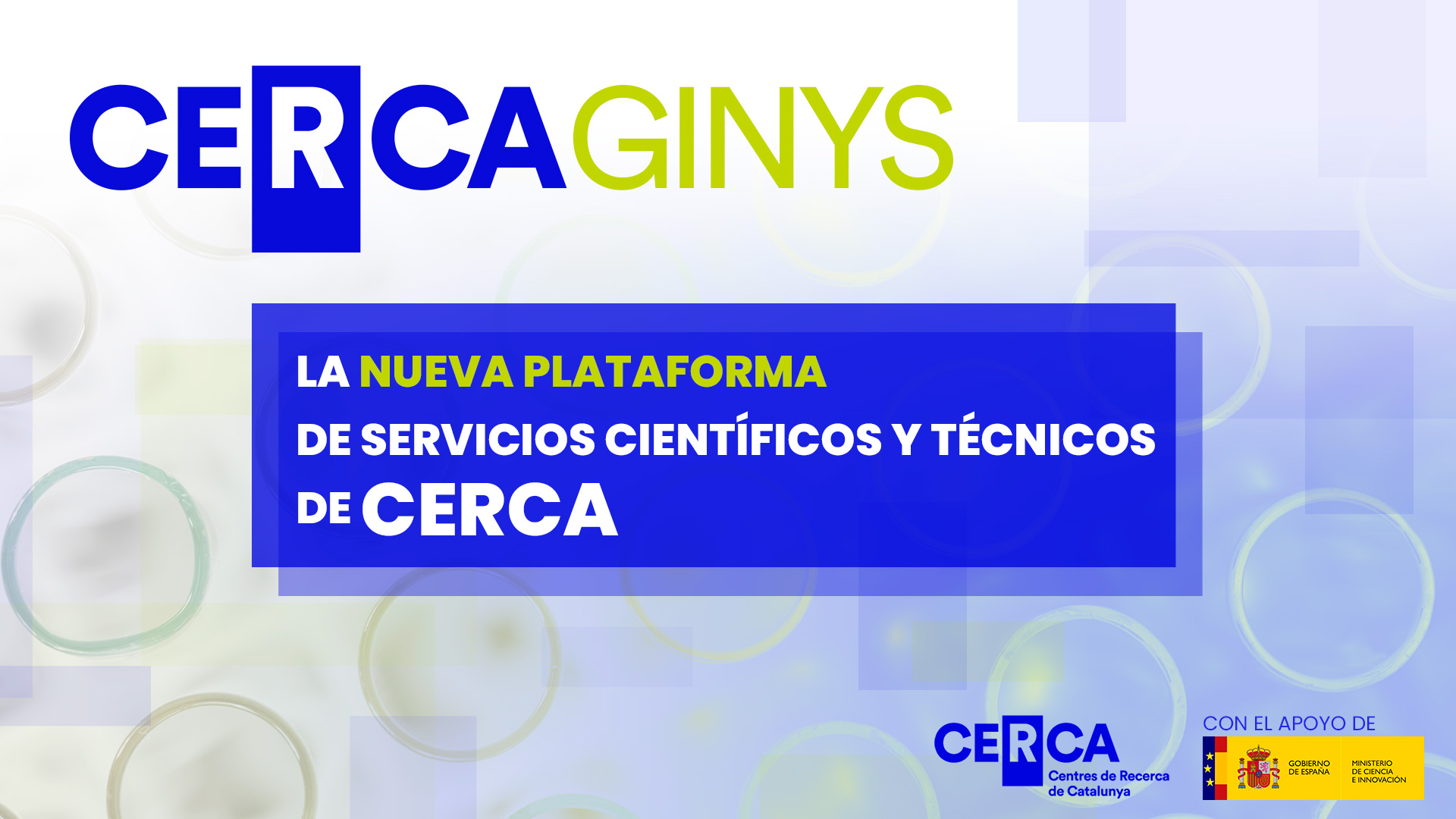 Cerca Ginys