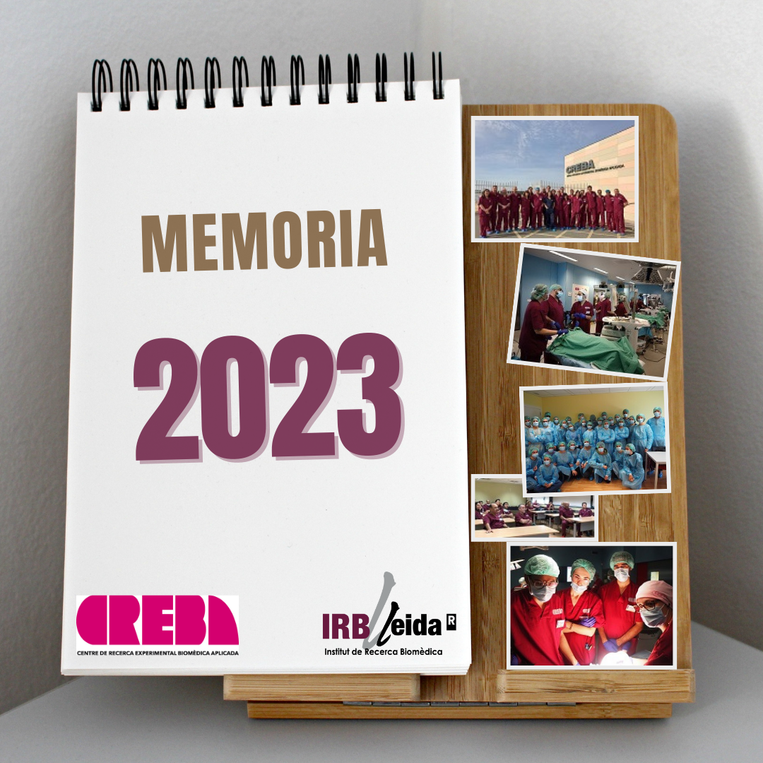 Memòria 2023